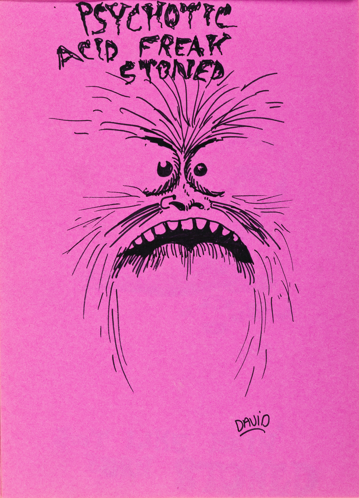 DAVID WOJNAROWICZ (1954 - 1992) Stoned Sketchbook